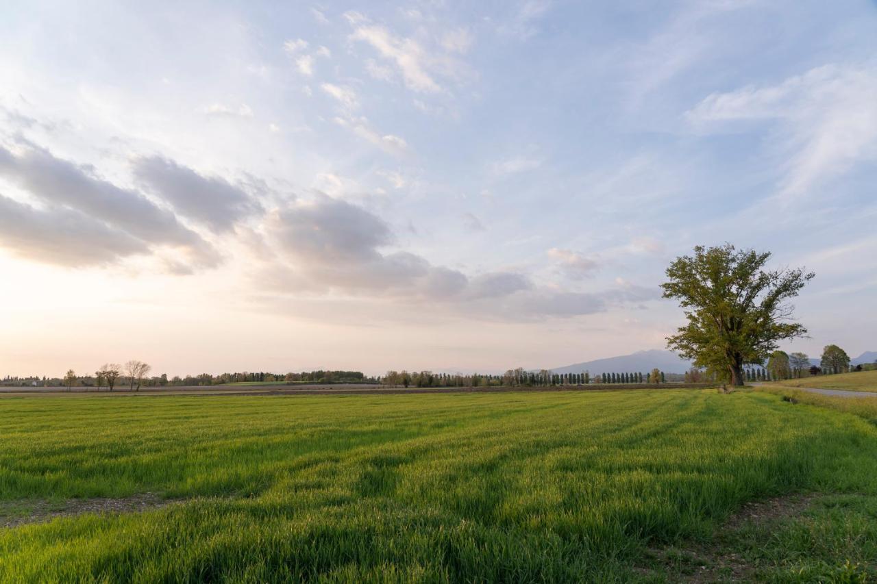 Ripassoqui Otel Custoza Dış mekan fotoğraf